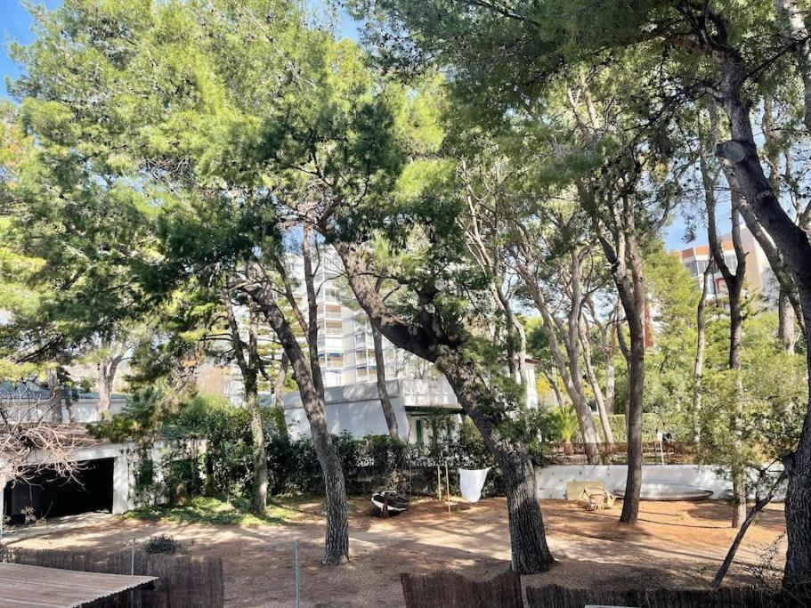 Lc Apartaments Voramar Benicàssim Dış mekan fotoğraf